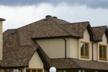 Аляска, Дерево