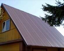 Профлист С-21 RAL 3005