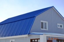 Профлист С-21 RAL 5005